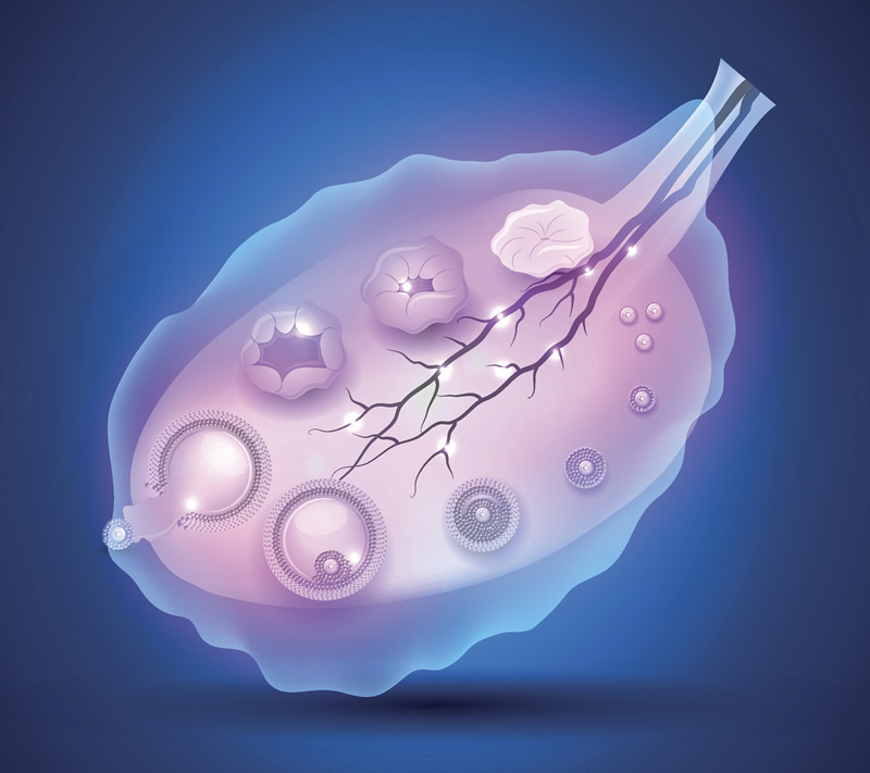 广州试管婴儿医院排名前十强及费用解析：中山一院、广医三院等三甲医院领衔，附高着床率医院选择指南